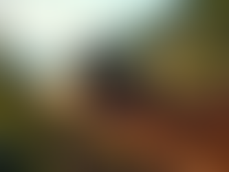 Efficient Techniques for Land Clearing