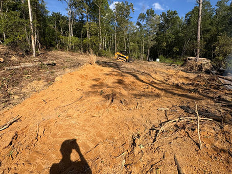 Forestry Mulching Near Me for Backyard Projects: What Homeowners Need to Know