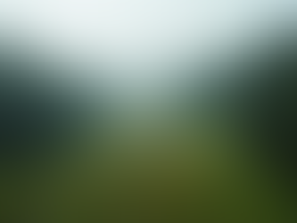 Essential Property Development Tips for Your Land in Western North Carolina