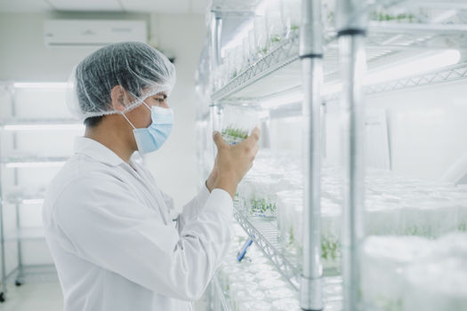 204 campsol  3163  Foto- Liz Tasa 09 de agosto de 2022.jpg