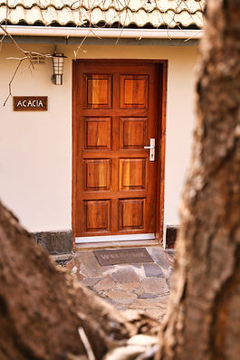Door.jpeg