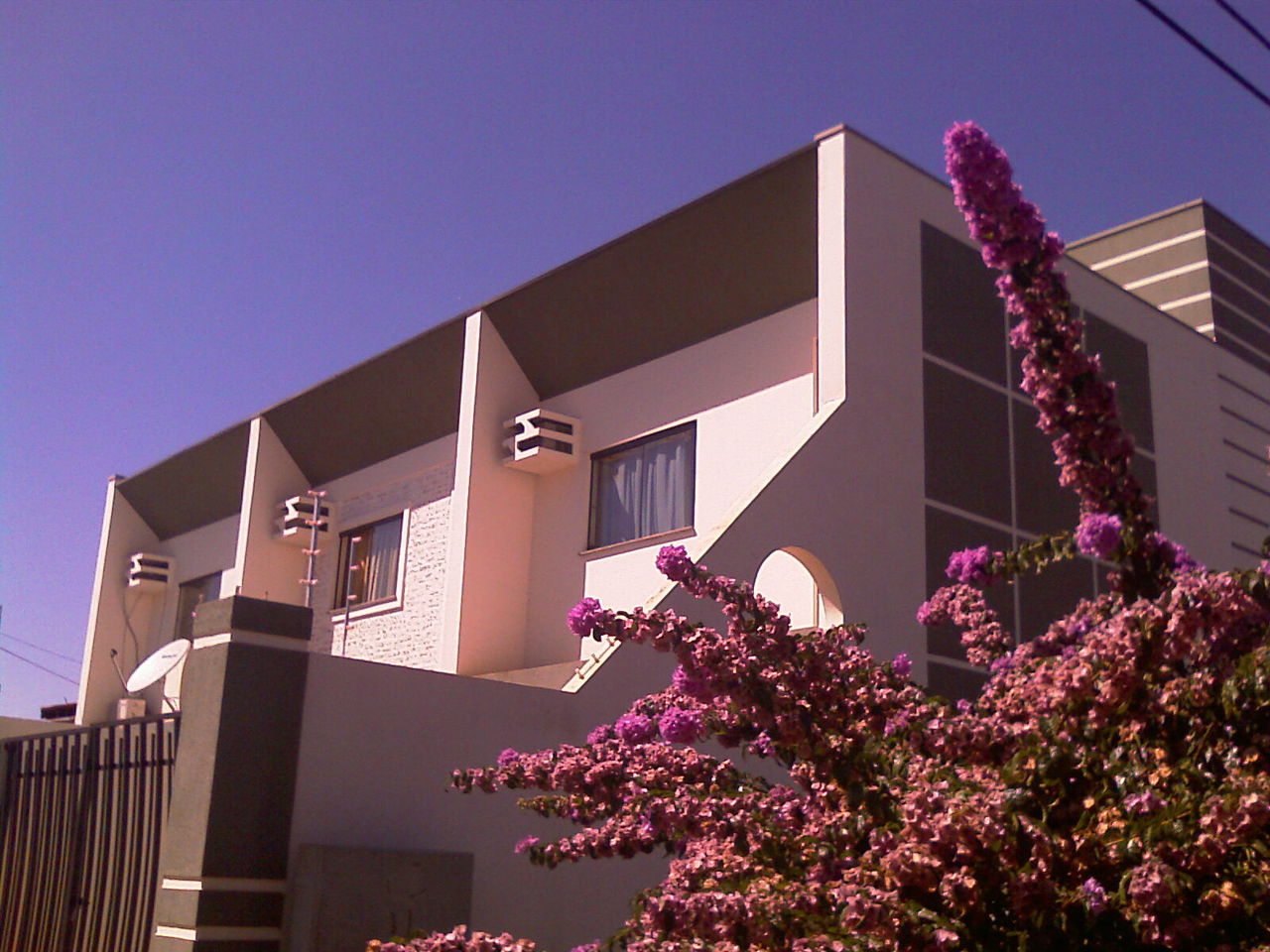 IMAG0080.jpg