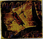 il burattino delle stelle.jpg