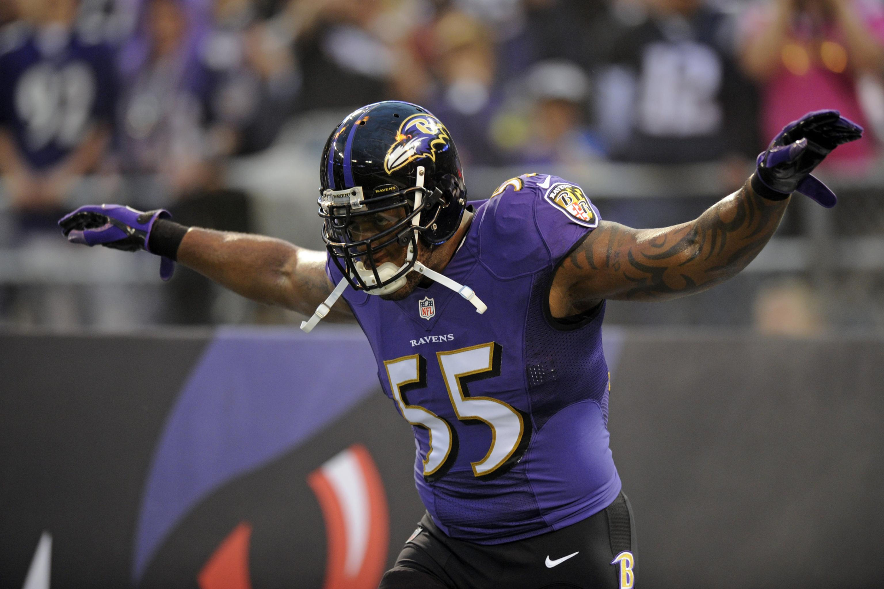 2017 Baltimore Ravens Season on DVD - Terrell Suggs
