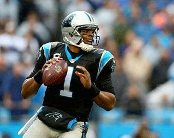 2015 Carolina Panthers Super Bowl 50 Season on DVD - Cam Newton
