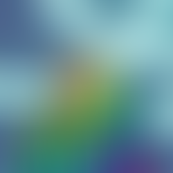 Mise à Jour du Site - V6!