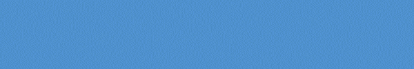 RASCI-optimized.gif