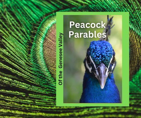 Peacock Parables