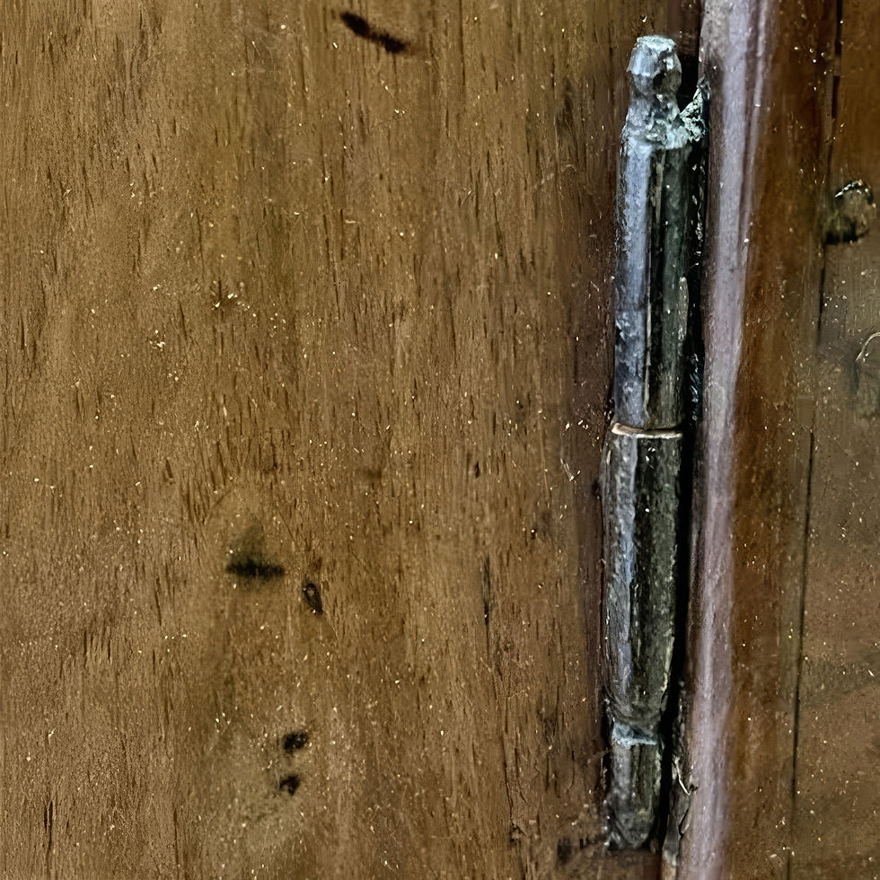 Miniatura: CREDENZA VENETA SCANTONATA