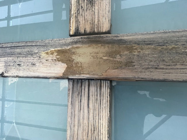 4F0C9268-0BDC-4991-B3CC-D0B9D7ED9B73