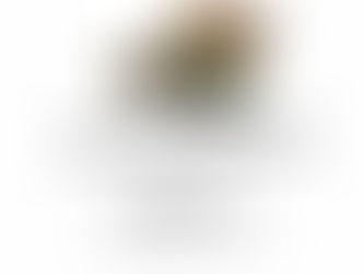 MERCANTEINFIERA AUTUNNO 2025