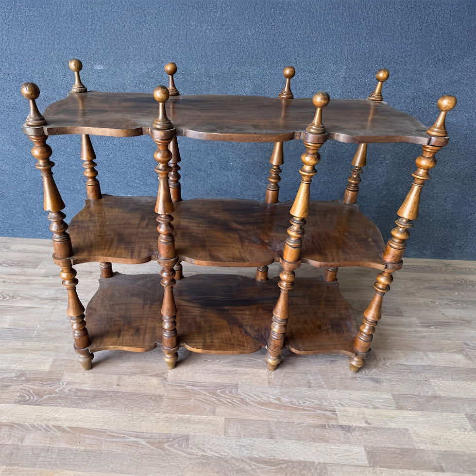 Miniatura: LIBRERIA ETAJERE