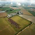 aerial of livestock and farms.jpg