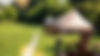 tents-with-wooden-chairs-pathway-front-them-glamping-nature-greenery-around_edited.jpg