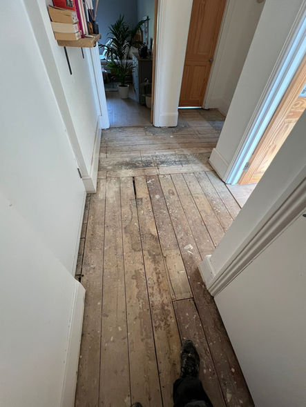 WhatsApp Image 2025-10-31 at 16.08.57.jpeg