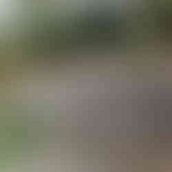 Ground screw foundations installed in Surbiton garden ready for timber frame construction.