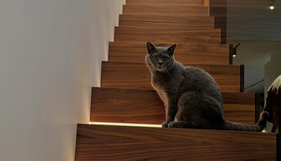 Alba Flooring - 3.jpg