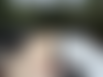 Notting Hill roof terrace with newly laid pre sealed natural sandstone paving, outdoor dining table and planted borders.