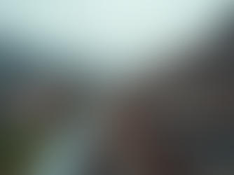 Essential Steps for Roof Repair in New Jersey