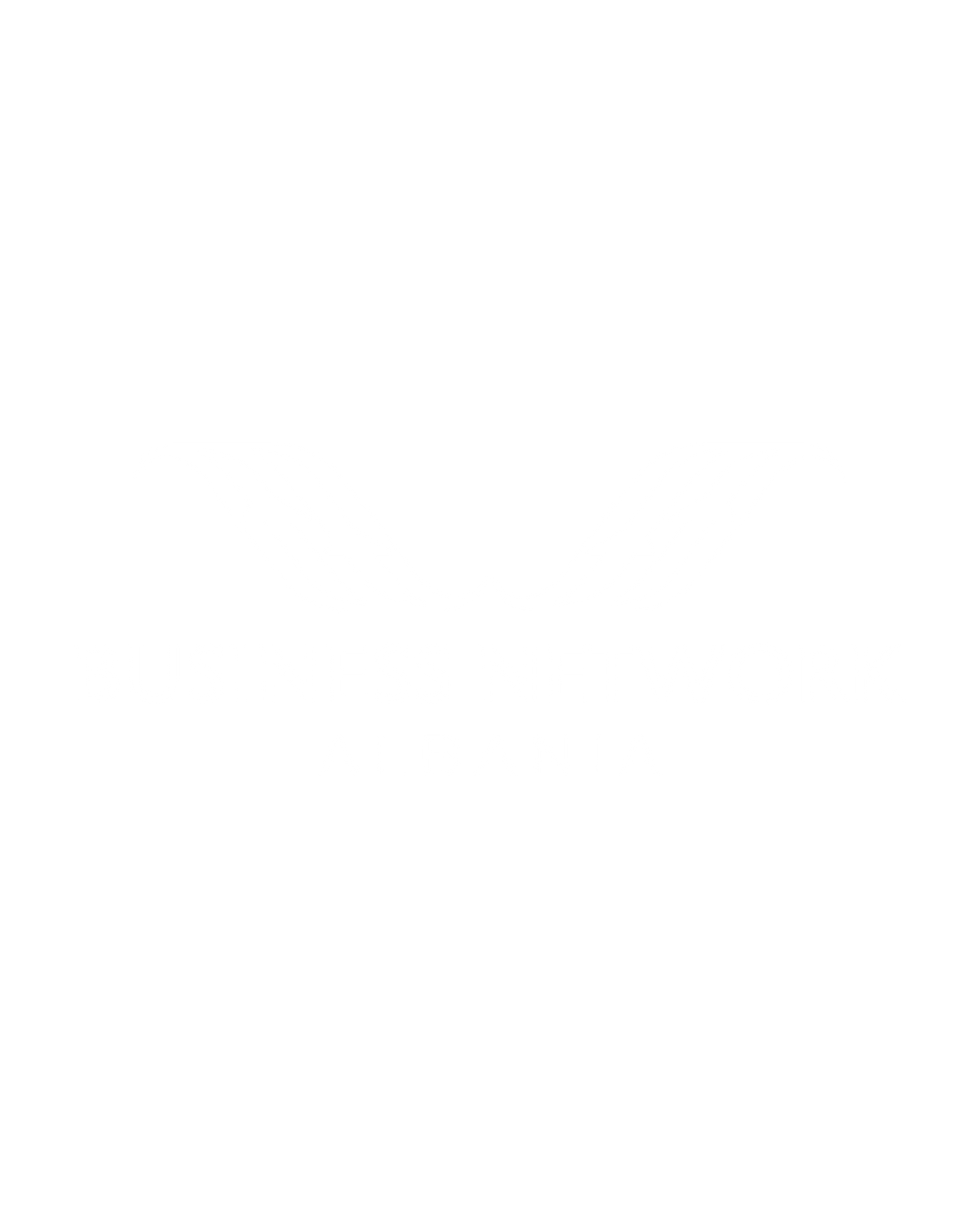 Business Network Albania logo.png