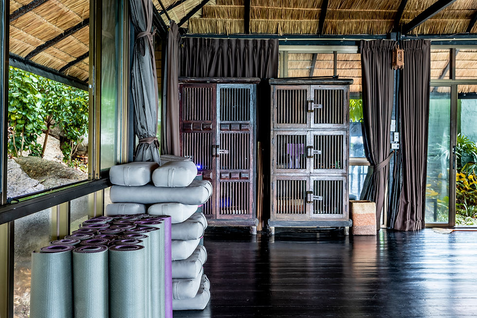 Vikasa_Padma Sala_-4