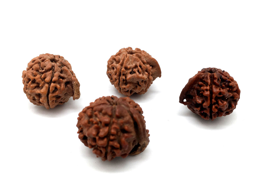 Рудракша Ганеша