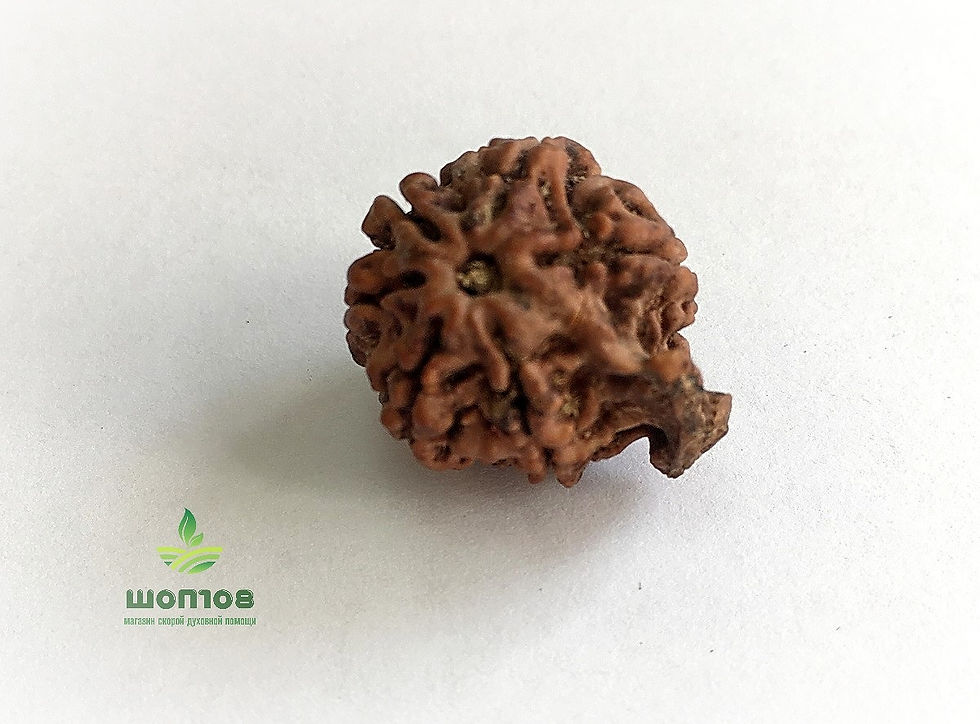 Рудракша Ганеша