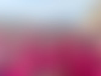 XXI Carrera de la Mujer