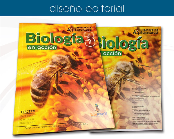 Diseño editorial