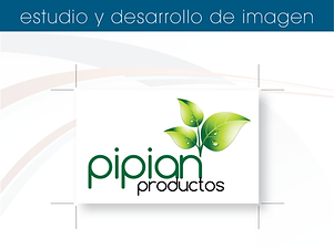 Estudio y desarrollo de imagen