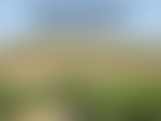 A Walk of the Heart - My Govardhan Parikrama