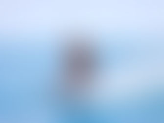 Waterski Koh Samui Watersports