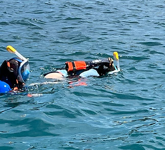 Snorkelling Koh Samui Watersports.jpeg