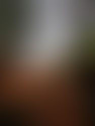 +++𝗚𝗘𝗠𝗘𝗜𝗡𝗦𝗖𝗛𝗔𝗙𝗧𝗦Ü𝗕𝗨𝗡𝗚+++