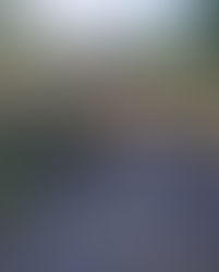 +++𝗦𝗜𝗥𝗘𝗡𝗘𝗡𝗔𝗟𝗔𝗥𝗠+++