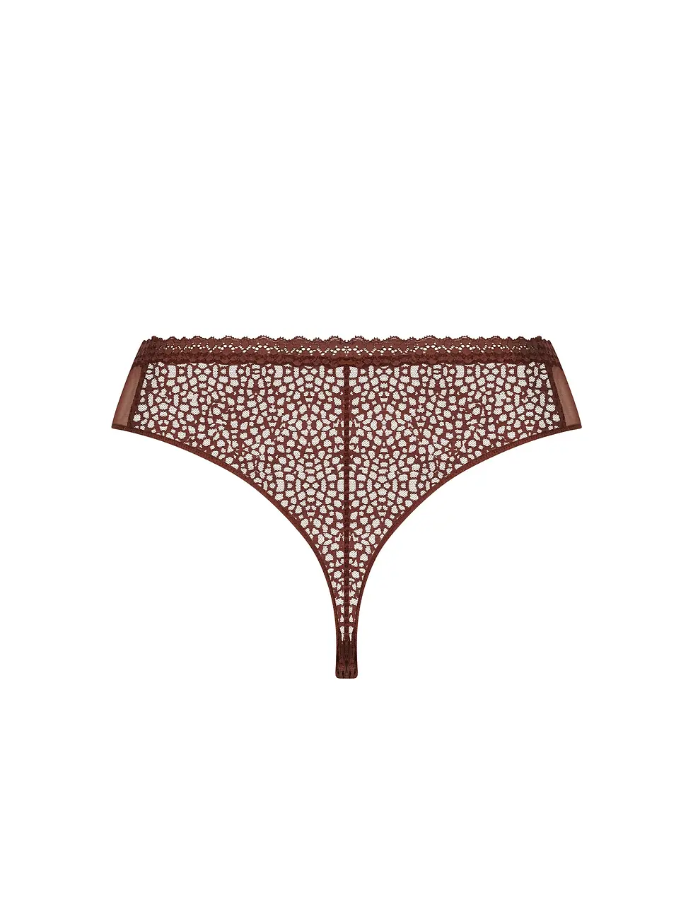 Antigel Tanga exquise en dentelle marron