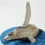 Thumbnail: Breaching Humpback Whale Vessel