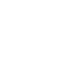 icons8-car-check-100.png