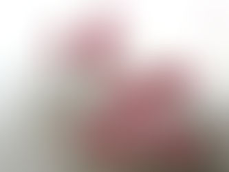 Exposição: Recortes do Cerrado 
05-26 de setembro de 2025 
Foyer da Câmara Legislativa do Distrito Federal - CLDF

