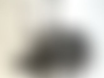 Exposição: Recortes do Cerrado
05-26 de setembro de 2025
Foyer da Câmara Legislativa do Distrito Federal - CLDF