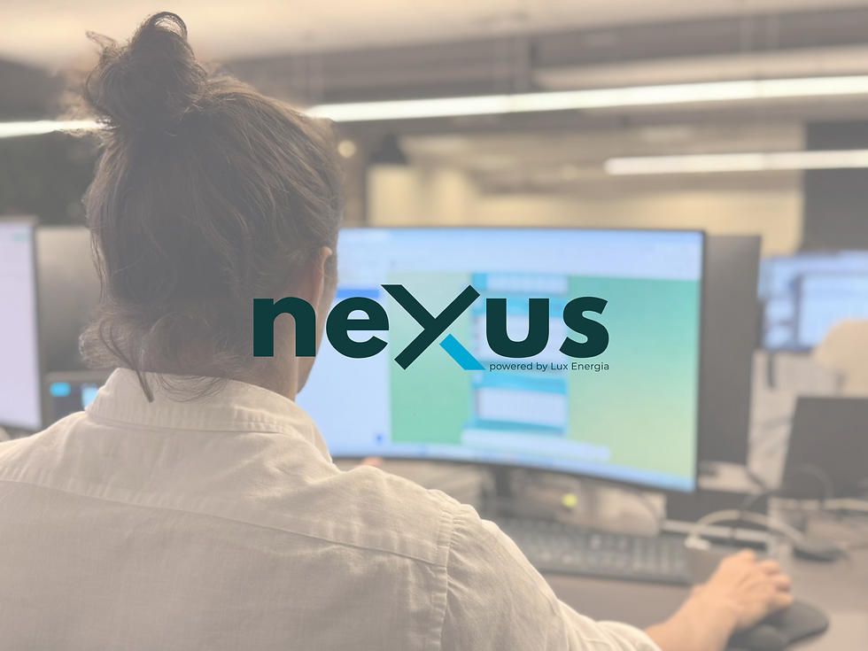 Colaborador da Lux Energia utilizando a plataforma Nexus no computador para monitoramento de energia e otimização do consumo