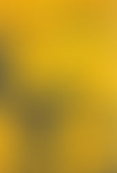 El Che y la Psicología Latinoamericana