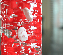 Blood-Model-in-a-Bottle-600x900.png