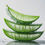 Miniature : SUPER BEACH ingrédient Aloe vera