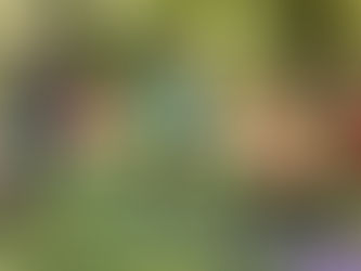 Comece a se Mexer: Guia Completo para Iniciantes em Atividades Físicas