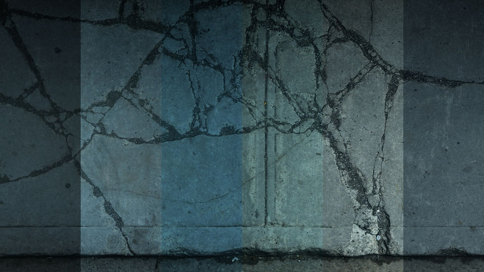 FMP_Website_Microbacklot_Grade_07.jpg