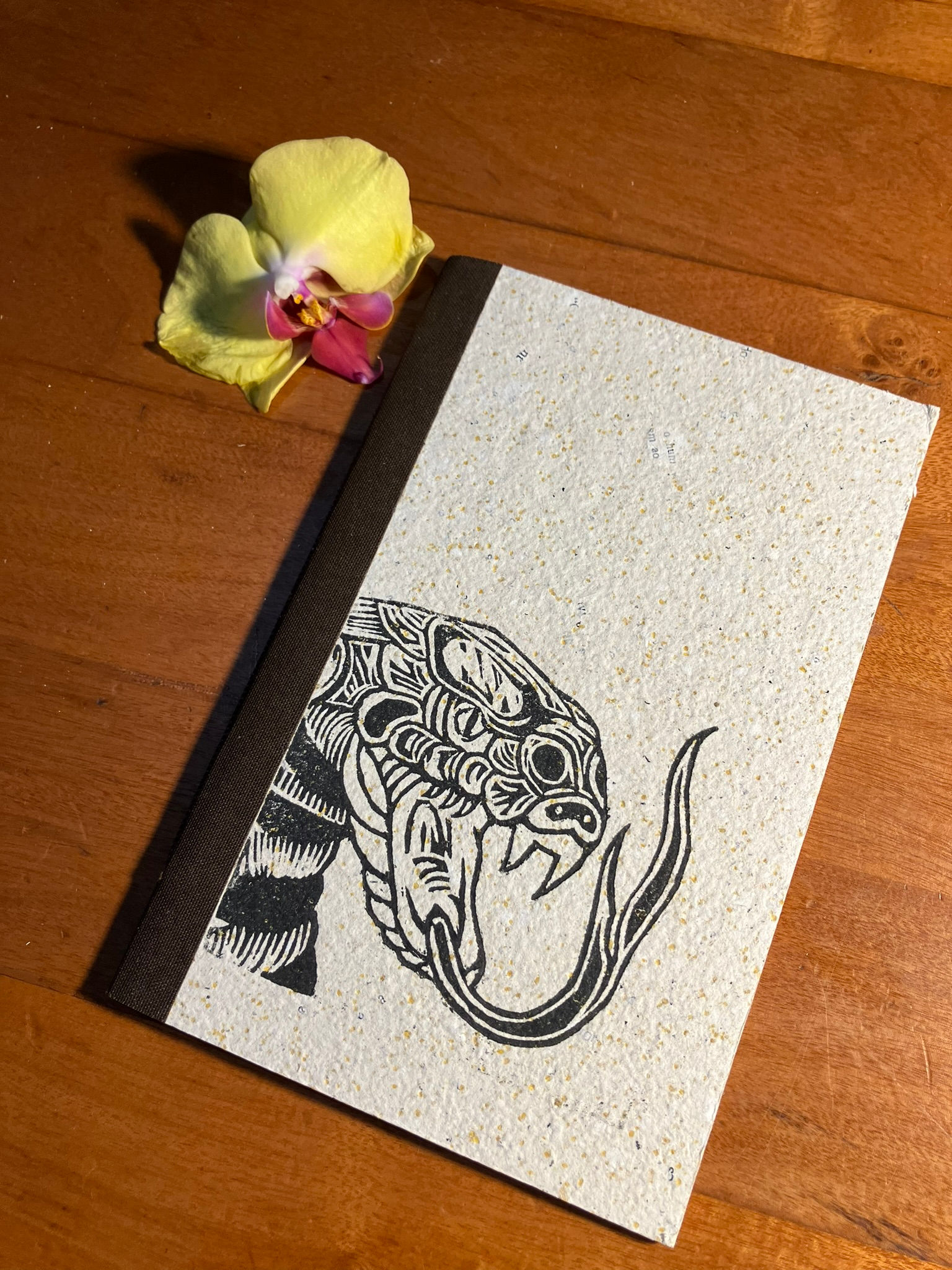 Caderno Autoralidades #22