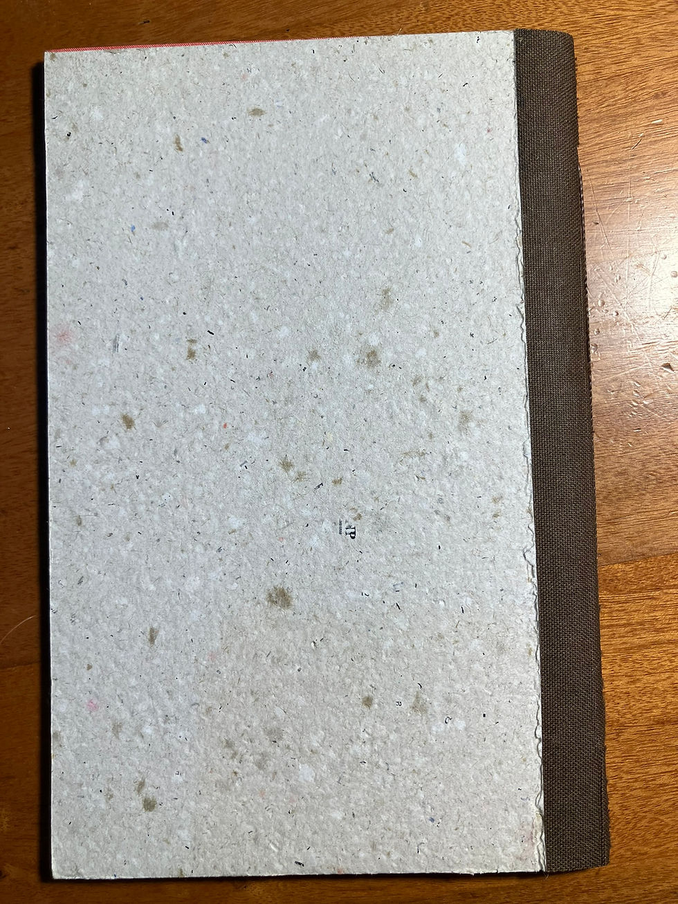 Miniatura: Caderno Autoralidades #5