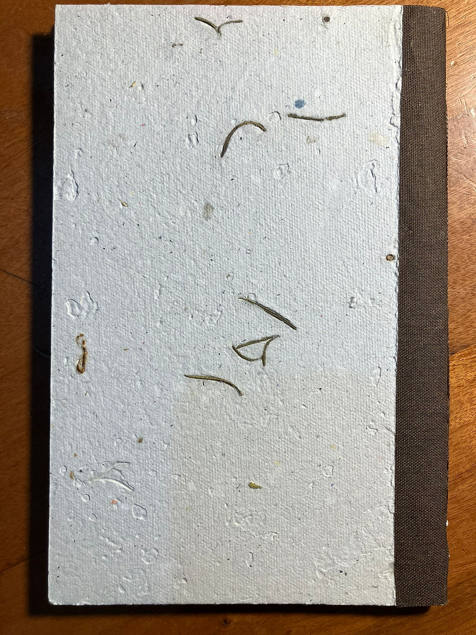 Thumbnail: Caderno Autoralidades #46