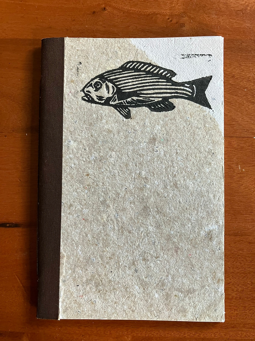 Thumbnail: Caderno Autoralidades #84